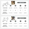 Destek Köpek Koşum Engelli Köpekler Için Izgara Köpek Asansör Koşum Rehabilitasyon Sling Bel Desteği Eski Ortak Yaralanmalar Köpekler Yürüyüş 210712