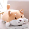 Cute Fat Shiba Inu Dog Plush Toy Stuffed Soft Kawaii Animal Dolls Cartoon 3804 Pillow Lovely Gift for Kids Baby Children Good Quality