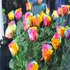 100 unids Semillas de rosa Paisajismo decorativo Protección radiológica Crecimiento natural Variedad de colores Todos para una residencia de verano Beautificación y purificación de aire