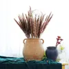 Dekoratif Çiçekler Çelenkler 15 adet / paket Bulrush Doğal Kurutulmuş Yapay Bitkiler Şube Pampas Çim Fragmites Sahte Çiçek Düğün Ev De