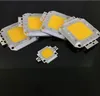 10 sztuk / partia SMD 10 W 20W 30W 50W 100W Light Bead High Power Zintegrowany Chip Lampa Lampa Lampa Koraliki COB Żarówka dla DIY Floodlight Spotlight Lights Źródło D3.0