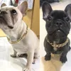Hundhalsar kopplar guldkedja modehalsband för husdjur teddy fransk mobbning liten och medelhög hund