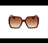 Lunettes de soleil femmes oeil de chat lunettes de soleil design ovale lunettes de soleil pour femme protection UV acatate résine verre 201