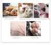 Tosatrici per animali domestici prodotti per la pulizia in acciaio inossidabile per gatti Prendersi cura della salute del proprio animale domestico inizia con la scelta