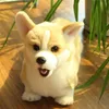 Bebê Brinquedo de Pelúcia Brinquedo Curto Corgi Cão Simulação de Alclado Animal S Super Realistic Home Decor Pet Criança Presente 210728