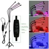 LED Grow Light 5V USB Lampada per piante Lampade fito a spettro completo per piantine di fiori vegetali da interno