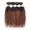 Cabelo Virgem Brasileiro Ombre Weave 3 Pacotes Kinky Curly 1B 30 Médio Auburn Cor Não Processado Malaio Peruano Encaracolado Cabelo Humano 1436247