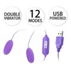 NXY Vagina Balls Anal and Vagina Vibrator for Women Adults, Sex Toys with Two Eggs Usb, Double Erotic Products, Clitoris,1211