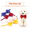 Собачья одежда 5pc регулируемое домашнее ожерелье для горки галстук милые удобные аксессуары