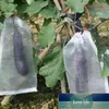 50PCS nätväskor Garden Fruit Barrier Cover Väskor för Grape Fig Flower Seed Vegetabiliskt skydd mot insekt myggväska