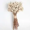 20pcs Natural Cotton Balls Dired Flower Plants Dry Real White Fruit Bunch Party Decorative Flowers Diy Wedding Home Decoration 210624