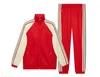 Mode Merk Designer Mens Trainingspak Letter Printing Sportkleding Mannen Track Suits Luxe Sweat Pak Jas Man Jacket Hoodie