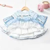 Baby Haft Kwiat Suknie Toddler Dziewczyny Z Długim Rękawem Princess Vestidos Niemowlę Hiszpania Lotia Suknia Balowa Wzburzyć 210615