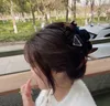2022 Korea Klein Blue Letter Clamps Simple Temperament Pan Hair Heatdress Kobieta Wysokiej Jakości Szybka dostawa