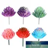 Flores decorativas Grinaldas 6 pcs Realista Artificial Suculentas Pequenas Plantas Diy Unpotted para Decoração de Jardim Home