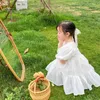 Koreaanse stijl zomer meisjes gaas bladerdeeg mouw prinses jurk kinderen mode casual verjaardagsfeestje jurken 210615