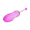 NXY oeufs insérables Bluetooth vibrateur oeuf pour hommes Sex Toy Femme produits jouets vaginaux perles anales collier clitoridien Spinner 1209