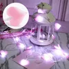 Lucine a LED a forma di cuore a forma di cuore alimentate a batteria 2m 3m String Light Holiday Wedding Christmas Party Lampade al piombo Decorazione