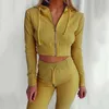 SPring Women Pajama Set Home Hooded Long-sleeved With Zipper Top & Pants Suit Outfits Ladies Slim Casual Suit Homewear 210707