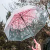 Women's rain umbrella transparent clear cherry blossom mushroom apollo sakura printed three-folding 210721