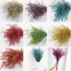 30G Lover Grass Natural Fresh Torked Bevarad Dancing Flowersreal Forever Flower Branch For Home Decor Bouquet Decorative Flowers4799710