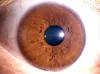 USB Digital Iriscope scanner Eye Iridology camera Iris analysis beauty equipment