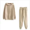 AECU Hiver 2 Pièces Ensembles Casual Survêtement Sweat À Capuche Pantalon Costume Femmes Épais Polaire Coton Costume Femmes Couple Survêtement Y0625