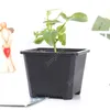 Vierkante kwekerij Plastic bloempot Planter 3 Grootte voor binnenhuis Bureau bed of vloer, en buitenwerf, gazon of tuin planten door zee daj103