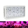 Volledig spectrum LED Grow Light Lamp Panel 900W Garden Hydro Groeiende Lamp Indoor Kas voor Plant Zaaien Flowe Groente