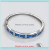 Braccialetti di gioielli Charm Gioielli JZB0216 Design Fire Opal Bangles Jewelry for Women Pulseiras Lovers Gift Pulseras Delivery Delivery 2021 MGJ6T 2021 MGJ6T