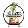 Aquários Pequenos Transparentes Água de Vidro Goldfish Bowl Home Hallway Desktop Sala criativa com Light Mini Aquarium