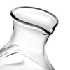 Clear Glass Pocket Carafe Flask الياباني البارد Saker Server Wine Decanter مع مقصورة الجليد للمطعم المنزلي 9 أوقية