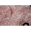 Vit rosa peony blomma tredimensionell spets gardin tyg skytte bakgrundsmaterial rs577