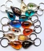 15 pcs Real Scorpion Spider Crab Ant Four Leaf Clover Drop Drop Amber Resin Keychain Taxidermy Odance Insect Encled3420521