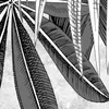 カスタム写真の壁紙モダンな手描き3D黒と白の熱帯の葉大理石の壁画リビングルームテレビソファーホーム装飾フレスコ