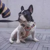 調節可能な犬のハーネスなしの反射性の通気性のあるペットベストリーシュセット子犬中の大きな犬の外出訓練211022