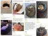 En Düşük Fiyat Peluş Yuvarlak Kedi Yatak Evi VAST Mat Yumuşak Sıcak Sakinleştirici Köpek Için Rahat Lüks Marshmallow Bırak 211111