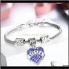 Charm-Armbänder, Schmuck, 45 Arten, Diamant, Liebe, Herz, Mutter, Tante, Tochter, Oma, Glaube, Hoffnung, Freunde, Kristallarmband, Will und Sandy Ship Drop