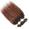 Brazylijskie Virgin Hair Ombre Weave 3 wiązki perwersyjne Kurly 1B 30 Średni kolor Auburn Kolor nieprzetworzony peruwiańskie włosy peruwiańskie ludzkie włosy 1436247