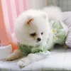 子犬の犬の薄いかわいい花の王女フリルスカートのための小さな犬の猫春の夏の縞模様のボタンテディ・チワワのドレス