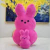 38 cm 15 cm píos conejito de peluche peep juguetes de Pascua simulación muñeco de peluche para niños almohada suave regalos niña juguete 1,17