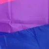 3 * 5ft LGBT Rainbow Flag Impression Drapeaux bisexuels Polyester avec œillets en laiton Vacances RRD7545