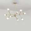 Lampadari Lampadario moderno a globo in vetro Rami di fissione molecolare Luci a soffitto Apparecchi di illuminazione per camera da letto del soggiorno