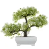 Guirnaldas de flores decorativas, plantas artificiales falsas, árbol bonsái, planta en maceta, decoración del hogar, lavabo de resina + simulación de plástico Moss Foa