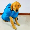 犬アパレルS M Lポータブルペット乾燥バッグ折りたたみ犬ヘアドライヤーブローグルーミング乾燥猫用品287p