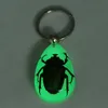 Sleutelhangers 2 stks Glow-in-the-Dark Real Insect Sleutelhanger, Green Chafer Black Scorpion