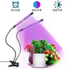 2021 LED Grow Light Lampada per piante a spettro completo con clip Dual Three Head Serra Growing Flower Plant Lamp Dimmerabile Illuminazione per acquario a LED