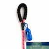 Laisse de chien d'entraînement en nylon sangle rappel longue ligne de plomb corde de traction pour animaux de compagnie idéal pour enseigner le camping arrière-cour