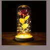 اكاليل الزهور الزخرفية LED زهرة أبدية مجرة وردة ذهبية احباط مع سلسلة أضواء في قبة لديكور المنزل عيد الميلاد عيد الحب Gi