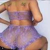 Retail Woman Bra Set Sexy Lingeries Lace Three Point Style Underwear Fun Suit The New Listing 2021